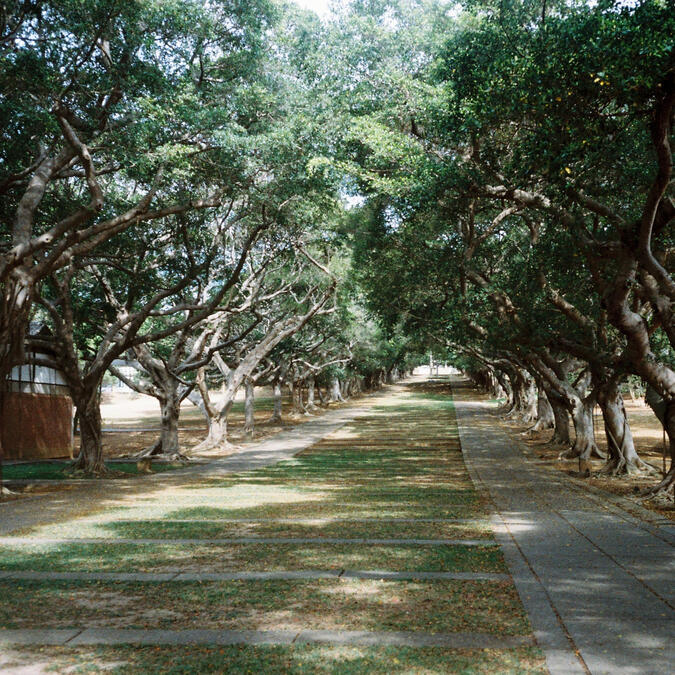 Sean Friedman Credentials Sean Friedman Credentials & Registrations