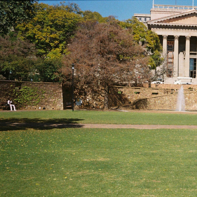 Sean Friedman Counselling Psychologist Sea Point