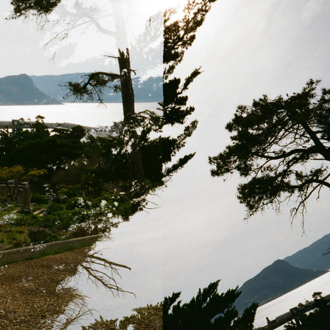 Sean Friedman Focus Sean Friedman Focus Areas